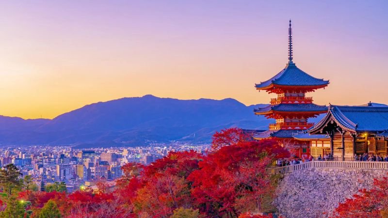 Etihad Airways Kyoto Office in Japan