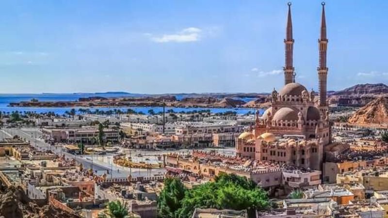 Condor Airlines Sharm El Sheikh Office in Egypt