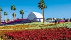 FlyEgypt Yanbu Office in Saudi Arabia