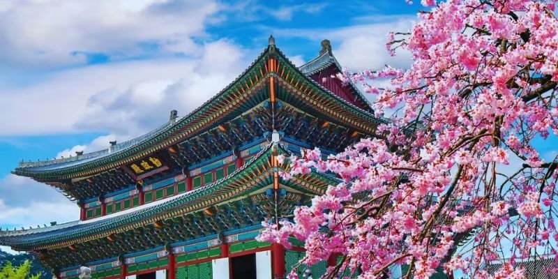 Air China Korea Office