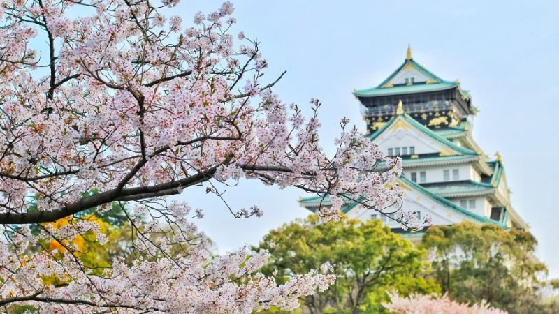 Aeolus Air Osaka Office in Japan