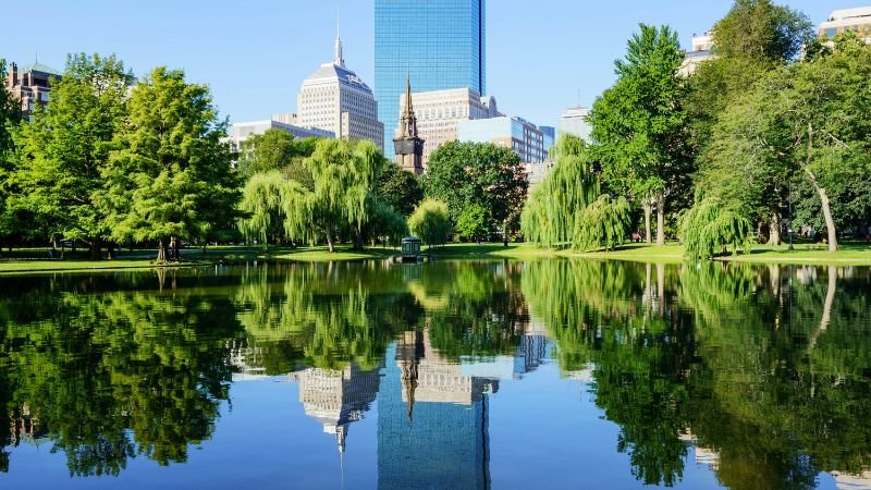 Bel Air Boston Office in USA