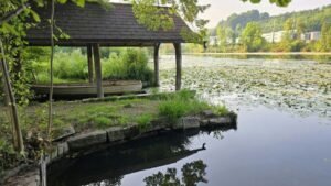 Bel Air Phoenix Office in Arizona
