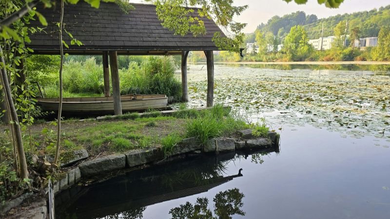 Bel Air Phoenix Office in Arizona