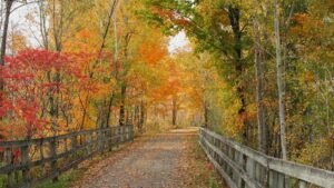 Bel Air Québec Office in Canada